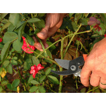 Tuinsnoeischaar