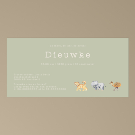 Geboortekaart Dieuwke