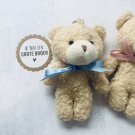 Schattige teddy sleutelhanger