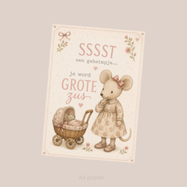 Aankondiging grote zus