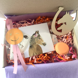 Vrolijk paarden cadeautje