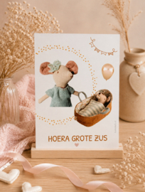 Stevige a5 poster grote zus
