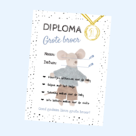 Grote broer diploma