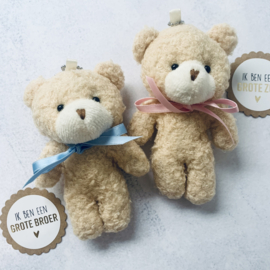 Schattige teddy sleutelhanger