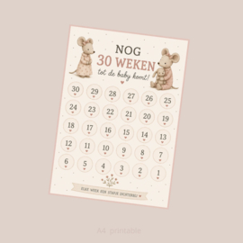 Aftelkalender grote zus