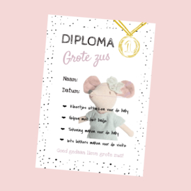 Diploma - Grote zus