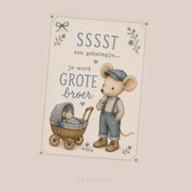 Poster aankondiging grote broer