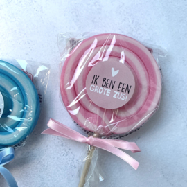 Grote lolly blauw