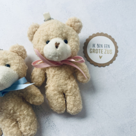 Schattige teddy sleutelhanger