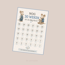 Aftelkalender grote broer