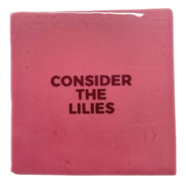Consider the lilies