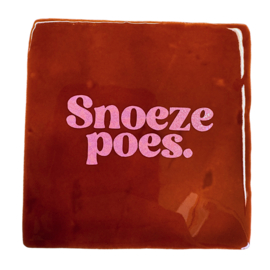 Snoezepoes