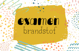 mini kaart, examen brandstof 10 stuks