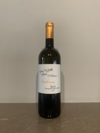 Chardonnay Garda D.O.C. 2019