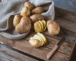Nicola aardappels
