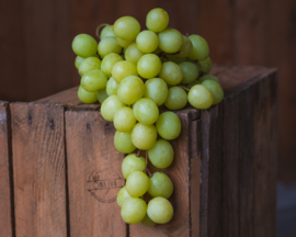 Witte druiven (pitloos)