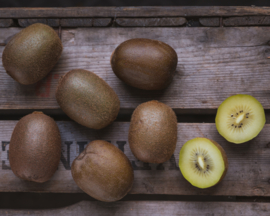 Zespri kiwi gold