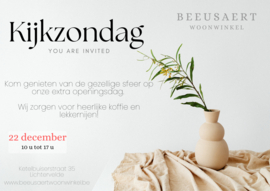 Kijkzondag 22 december 24
