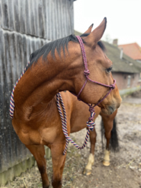 Professional's choice touwhalster met lead rope