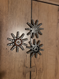 Concho Crystal zilver spur