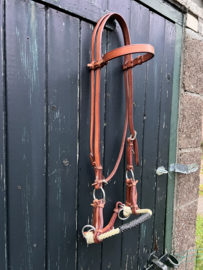 Sidepull rawhide single nose