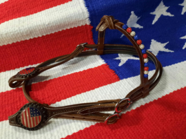 Showhoofdstel USA futurity