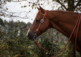 GVR Hoofdstel Copper Peach