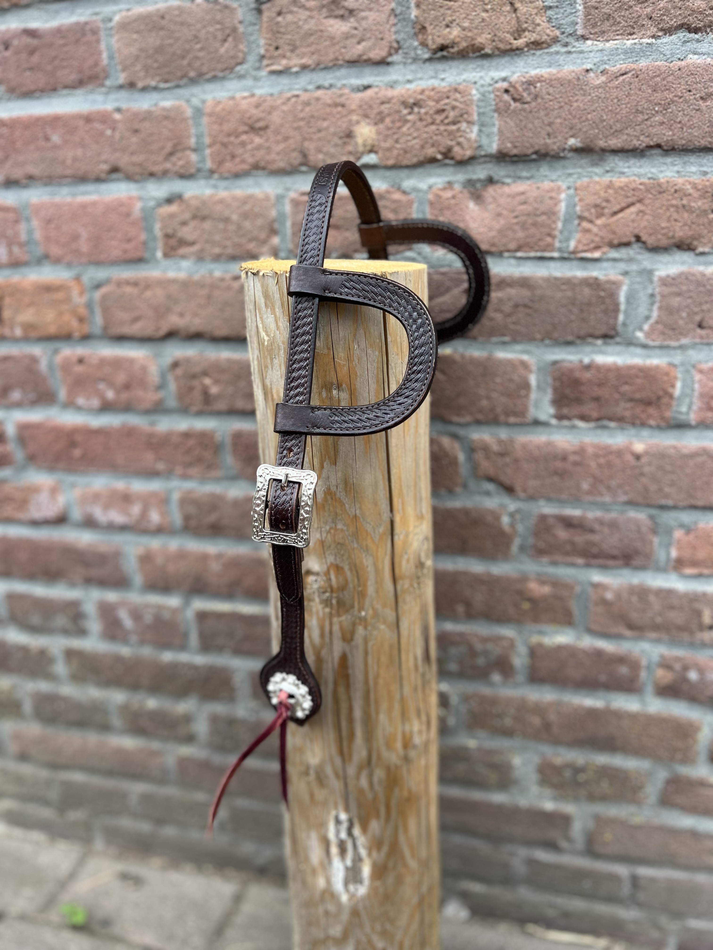 West Coast hoofdstel basic Pony