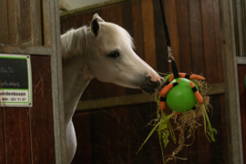 Excellent horse paarden speelbal groen