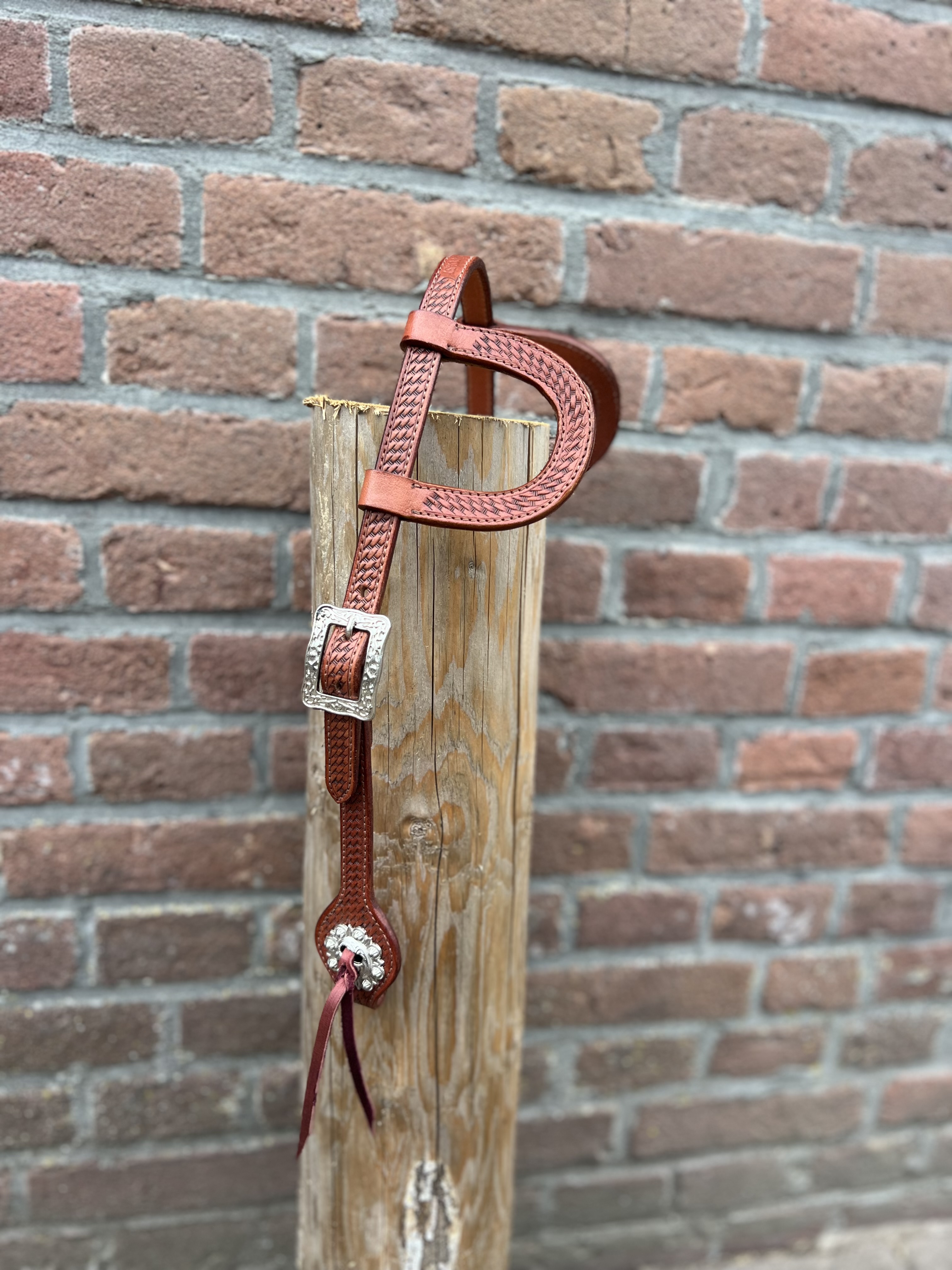 West Coast hoofdstel basic Pony