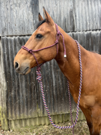Professional's choice touwhalster met lead rope