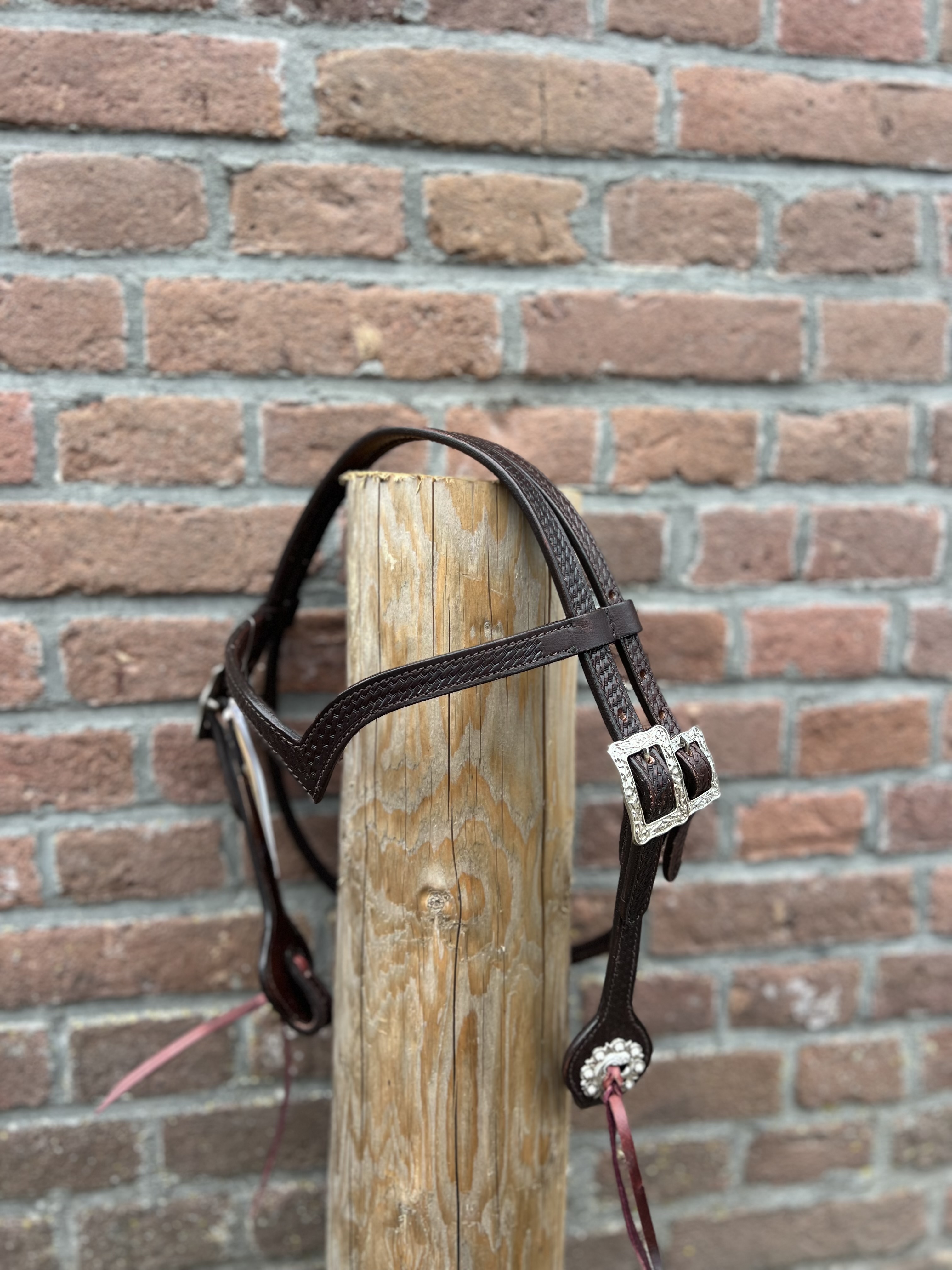 West Coast Hoofdstel bling Pony