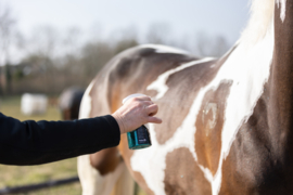Excellent Horse Hi Gloss Glitter Spray