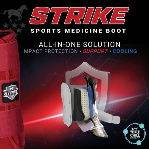 Professional's Choice Strikeboots black frontboots