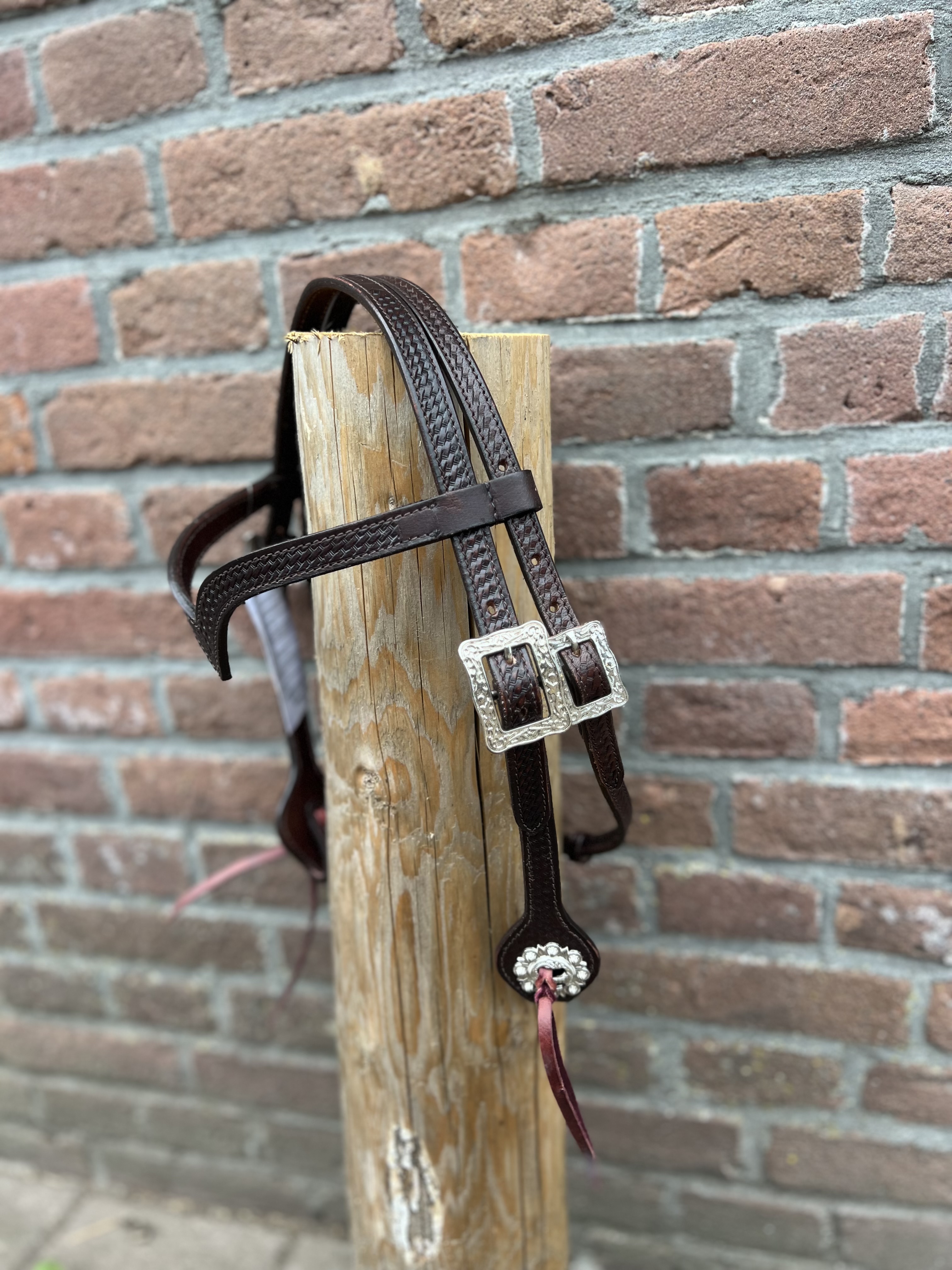 West Coast Hoofdstel bling Pony