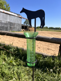 Regenmeter western paard