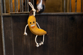 Excellent horse foodie friends banaan