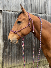 Professional's choice touwhalster met lead rope