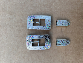Buckle set rechthoekig regenboog