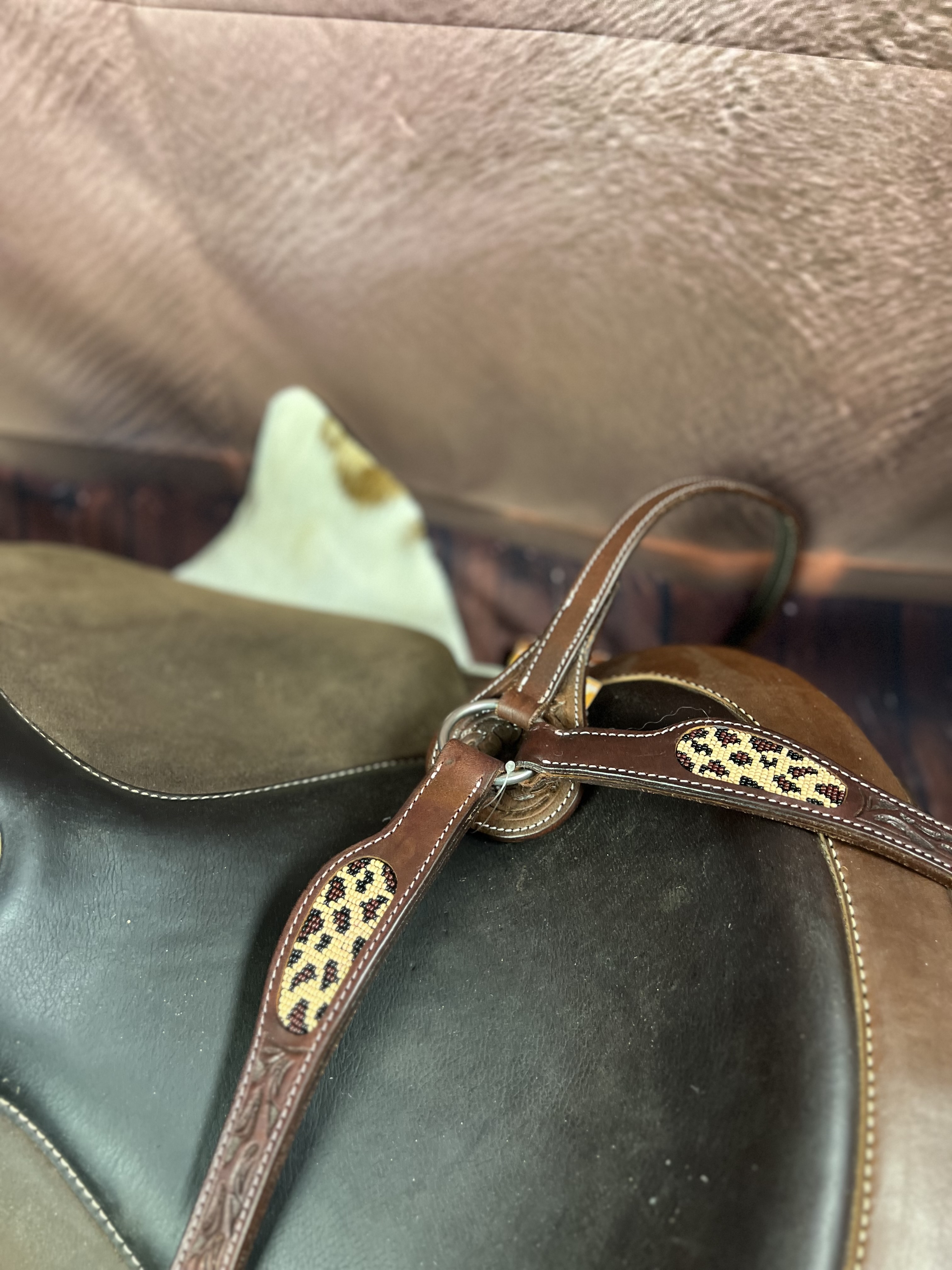 GVR western borsttuig leopard