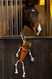 Excellent horse foodie friends wortel