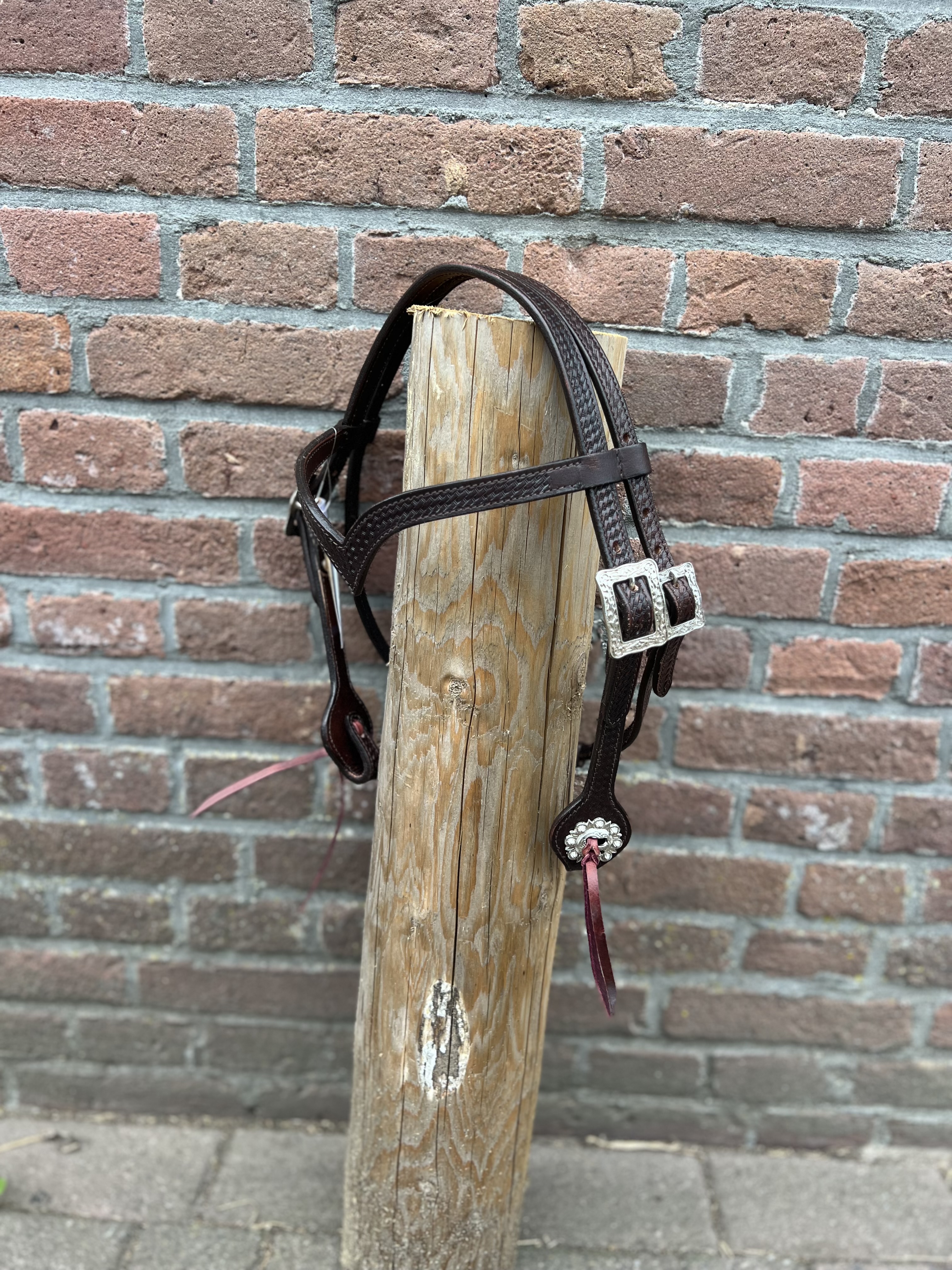 West Coast Hoofdstel bling Pony