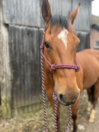Professional's choice touwhalster met lead rope