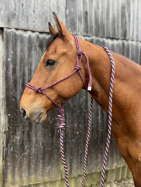 Professional's choice touwhalster met lead rope