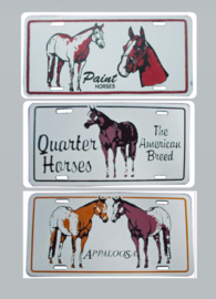 Licence plate met quarter, paint of appaloosa paard