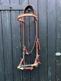 Sidepull rawhide single nose