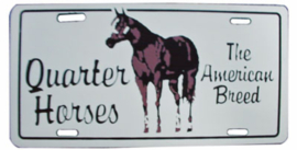 Licence plate met quarter, paint of appaloosa paard