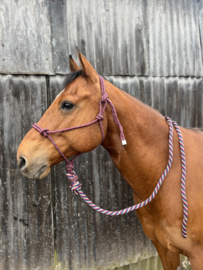Professional's choice touwhalster met lead rope