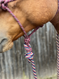 Professional's choice touwhalster met lead rope