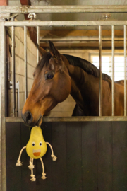 Excellent horse foodie friends peer
